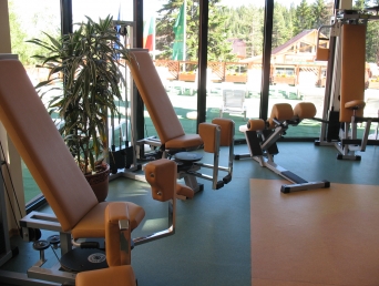 Sports and Health - Grand Hotel Murgavets****