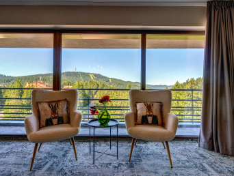Presidential suites with private sauna