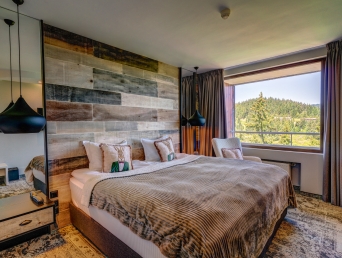 Deluxe Double Room 
