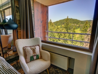 Deluxe Double Room 