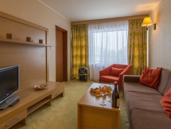 Апартамент с една спалня
